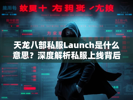 天龙八部私服Launch是什么意思？深度解析私服上线背后的含义  第1张