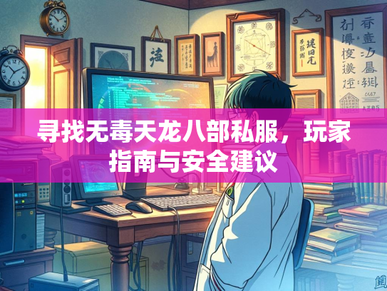 寻找无毒天龙八部私服，玩家指南与安全建议