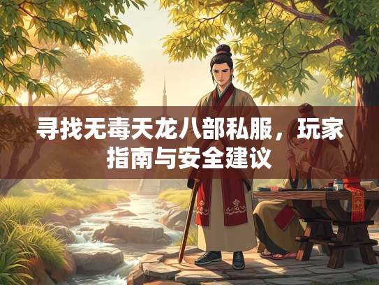 寻找无毒天龙八部私服，玩家指南与安全建议