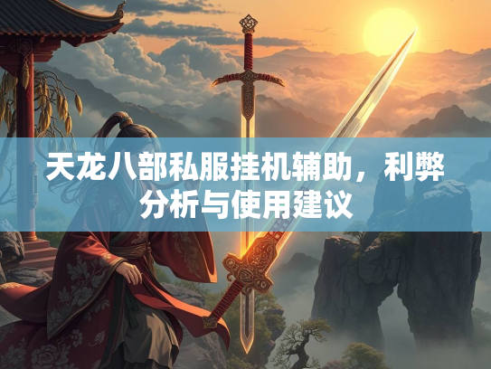 天龙八部私服挂机辅助，利弊分析与使用建议  第2张