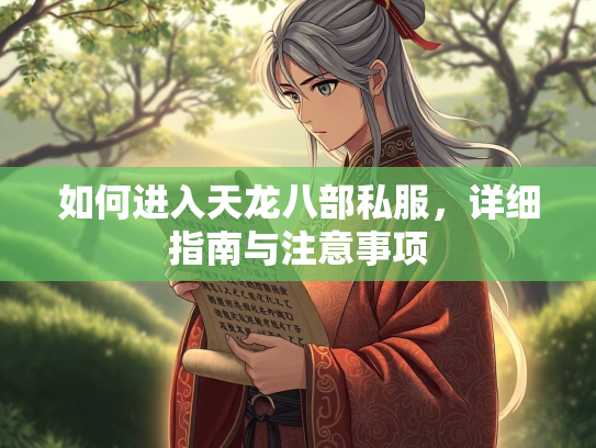 如何进入天龙八部私服，详细指南与注意事项