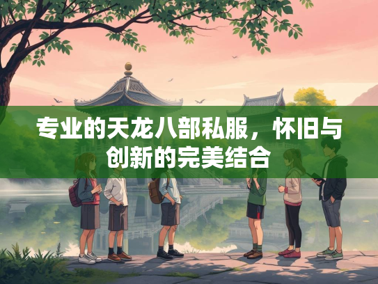 专业的天龙八部私服，怀旧与创新的完美结合  第1张