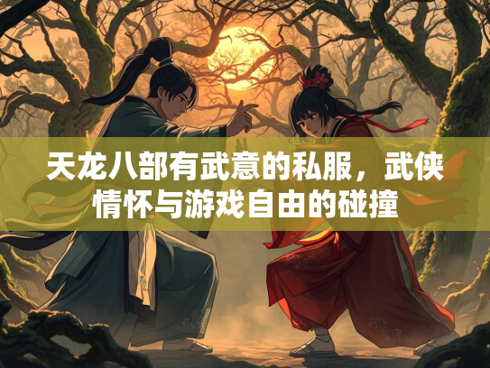 天龙八部有武意的私服，武侠情怀与游戏自由的碰撞