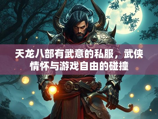天龙八部有武意的私服，武侠情怀与游戏自由的碰撞