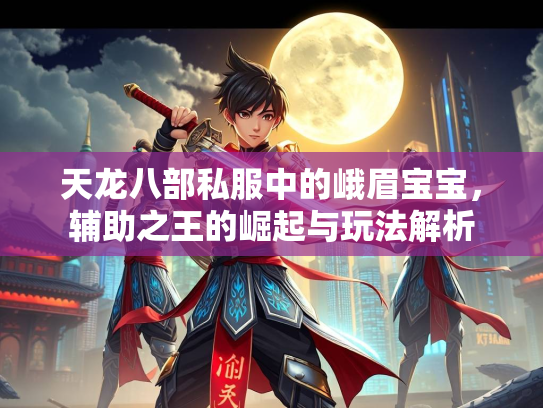 天龙八部私服中的峨眉宝宝，辅助之王的崛起与玩法解析  第3张