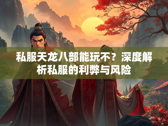 私服天龙八部能玩不？深度解析私服的利弊与风险  第2张
