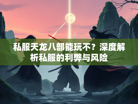 私服天龙八部能玩不？深度解析私服的利弊与风险  第3张