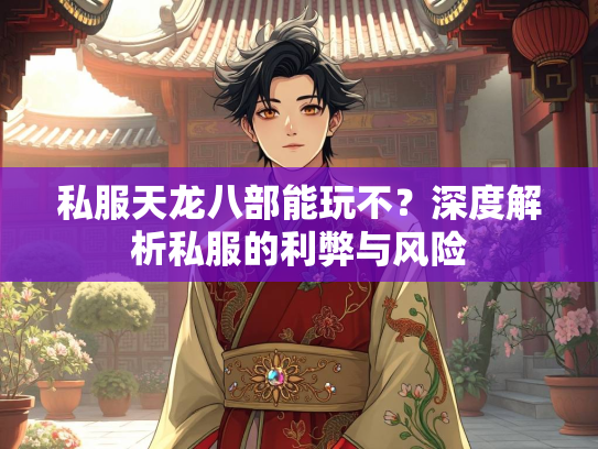 私服天龙八部能玩不？深度解析私服的利弊与风险