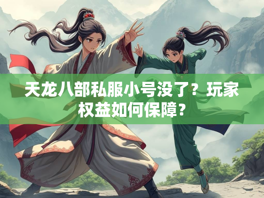天龙八部私服小号没了？玩家权益如何保障？