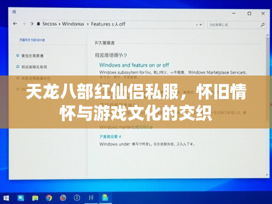 天龙八部红仙侣私服，怀旧情怀与游戏文化的交织