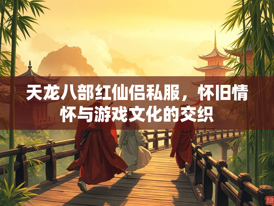 天龙八部红仙侣私服，怀旧情怀与游戏文化的交织