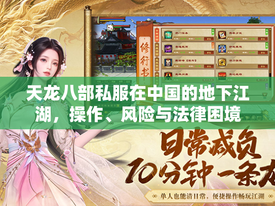 天龙八部私服在中国的地下江湖，操作、风险与法律困境