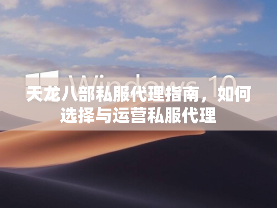 天龙八部私服代理指南，如何选择与运营私服代理  第2张