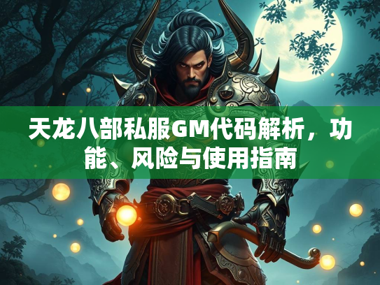 天龙八部私服GM代码解析，功能、风险与使用指南