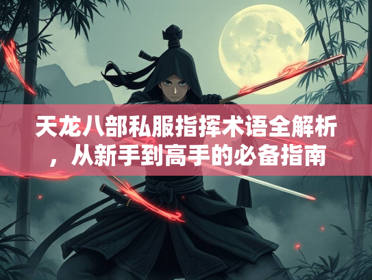 天龙八部私服指挥术语全解析，从新手到高手的必备指南