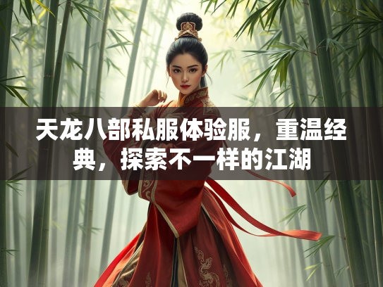 天龙八部私服体验服，重温经典，探索不一样的江湖  第2张