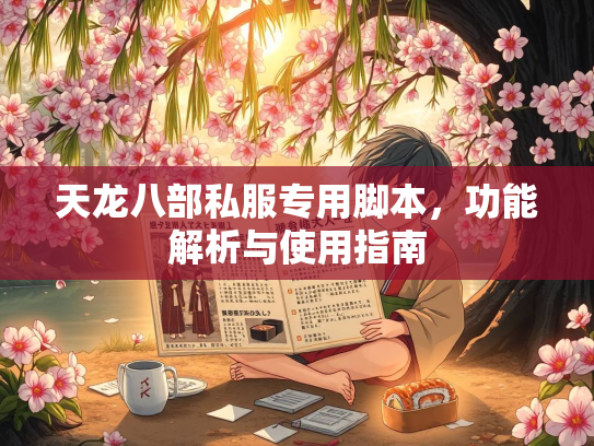 天龙八部私服专用脚本，功能解析与使用指南