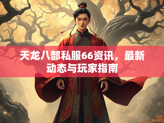 天龙八部私服66资讯，最新动态与玩家指南