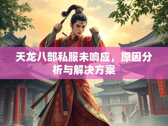 天龙八部私服未响应，原因分析与解决方案  第3张