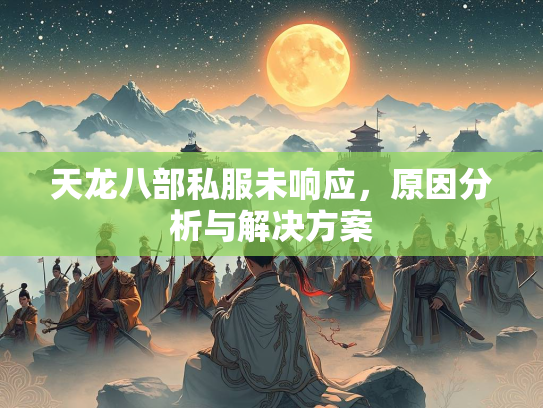 天龙八部私服未响应，原因分析与解决方案  第1张