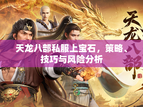 天龙八部私服上宝石，策略、技巧与风险分析  第3张