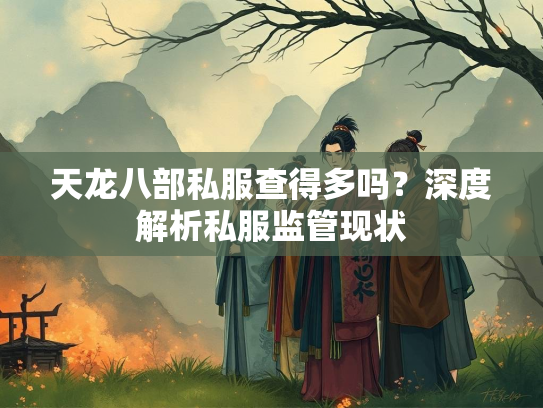 天龙八部私服查得多吗？深度解析私服监管现状  第2张