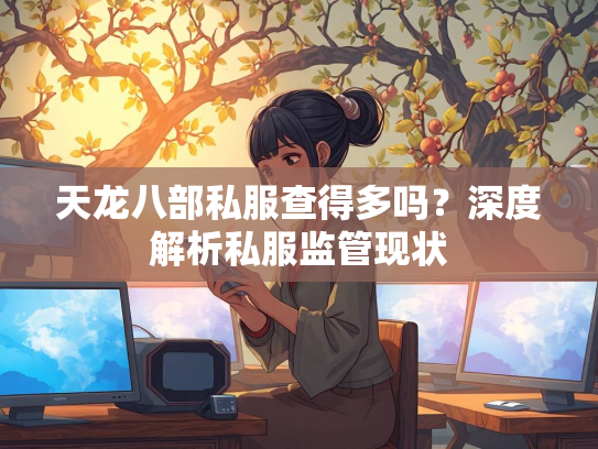 天龙八部私服查得多吗？深度解析私服监管现状  第3张