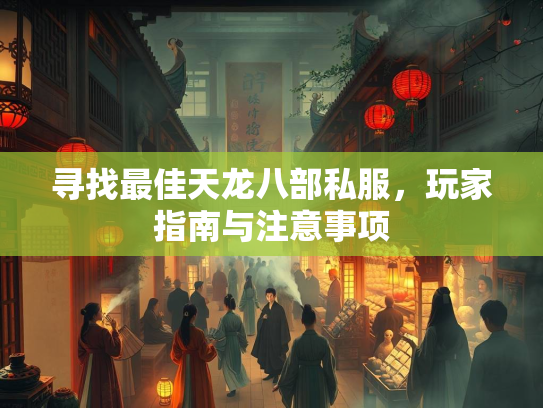 寻找最佳天龙八部私服，玩家指南与注意事项  第2张