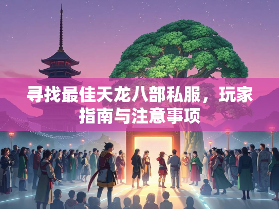寻找最佳天龙八部私服，玩家指南与注意事项  第3张