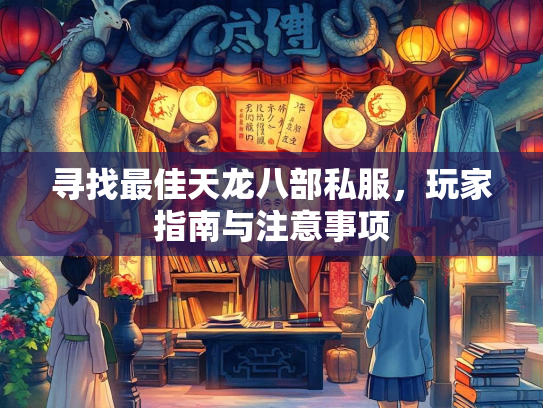 寻找最佳天龙八部私服，玩家指南与注意事项
