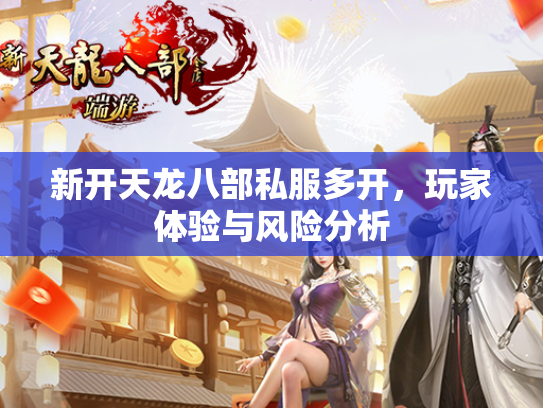 新开天龙八部私服多开，玩家体验与风险分析