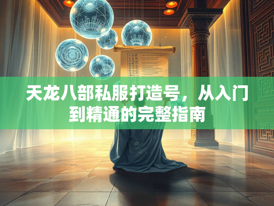 天龙八部私服打造号，从入门到精通的完整指南  第2张