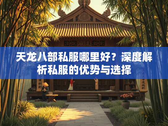 天龙八部私服哪里好？深度解析私服的优势与选择