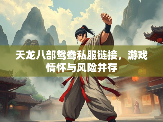 天龙八部鸳鸯私服链接，游戏情怀与风险并存
