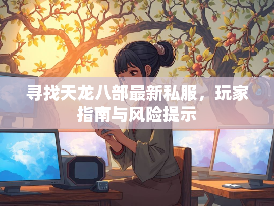 寻找天龙八部最新私服，玩家指南与风险提示  第2张