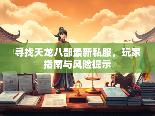 寻找天龙八部最新私服，玩家指南与风险提示  第1张