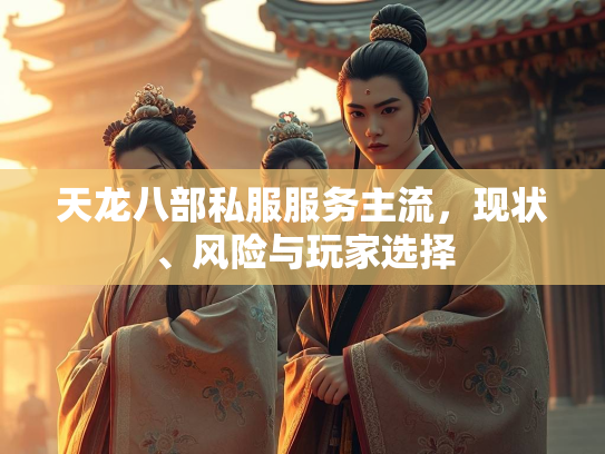 天龙八部私服服务主流，现状、风险与玩家选择  第2张
