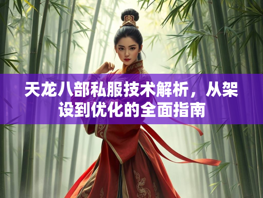天龙八部私服技术解析，从架设到优化的全面指南