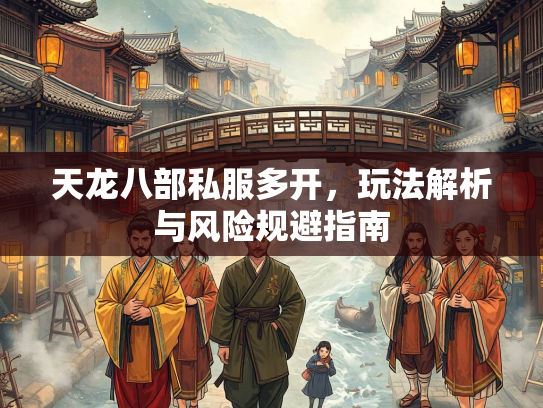 天龙八部私服多开，玩法解析与风险规避指南  第3张