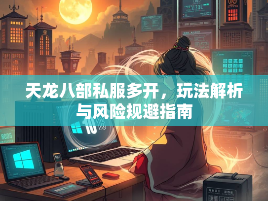 天龙八部私服多开，玩法解析与风险规避指南  第1张