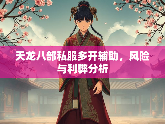 天龙八部私服多开辅助，风险与利弊分析  第2张