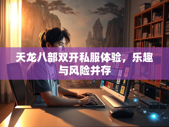 天龙八部双开私服体验，乐趣与风险并存