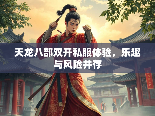 天龙八部双开私服体验，乐趣与风险并存