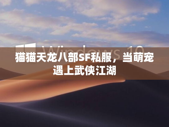 猫猫天龙八部SF私服，当萌宠遇上武侠江湖  第1张