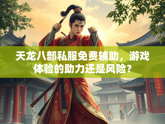 天龙八部私服免费辅助，游戏体验的助力还是风险？  第2张