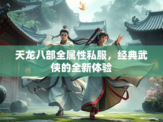 天龙八部全属性私服，经典武侠的全新体验  第3张