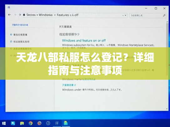 天龙八部私服怎么登记？详细指南与注意事项  第2张