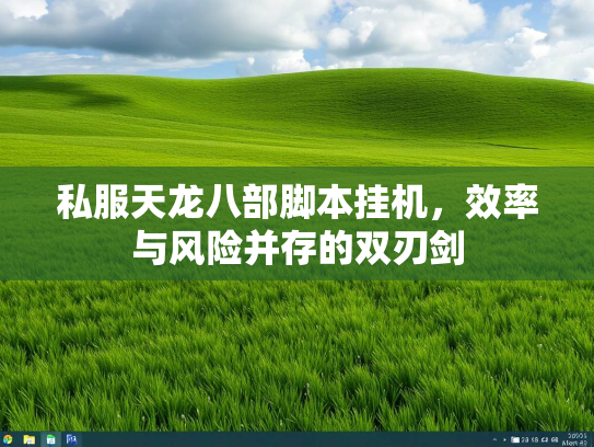 私服天龙八部脚本挂机，效率与风险并存的双刃剑  第1张