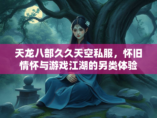 天龙八部久久天空私服，怀旧情怀与游戏江湖的另类体验  第2张