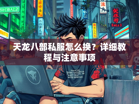 天龙八部私服怎么换？详细教程与注意事项  第1张